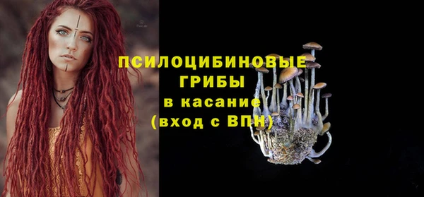 ешки Алексеевка