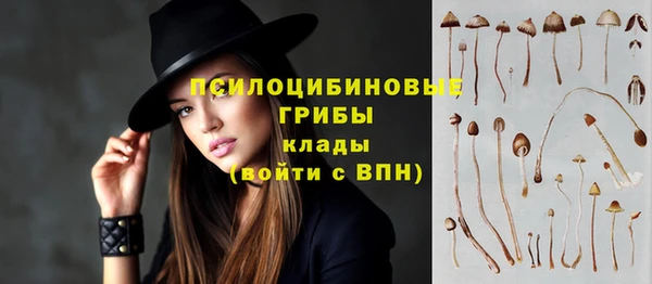 спиды Алзамай