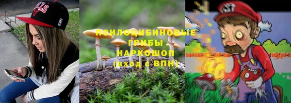 спиды Алзамай