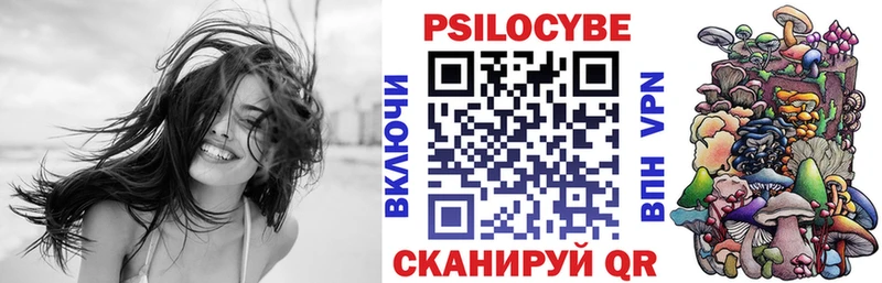 где купить наркоту  Владивосток  Галлюциногенные грибы MAGIC MUSHROOMS 